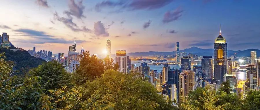 香港為何成研究生留學(xué)熱門(mén)地？就業(yè)無(wú)憂的五大頂尖專(zhuān)業(yè)深度剖析